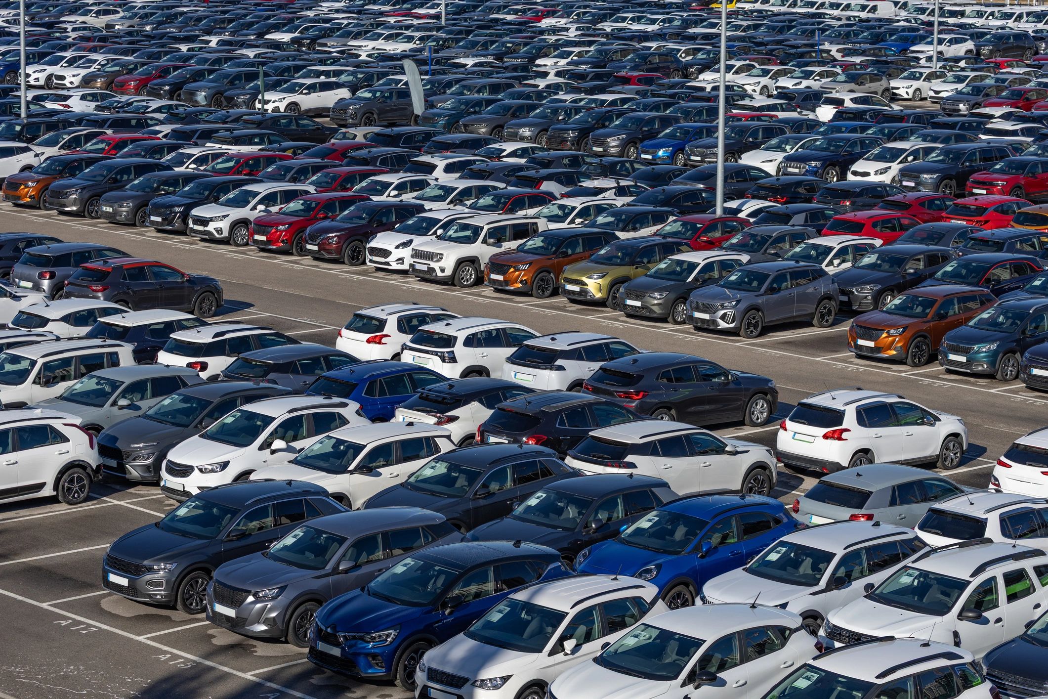 Rows of cars in a dealership lot